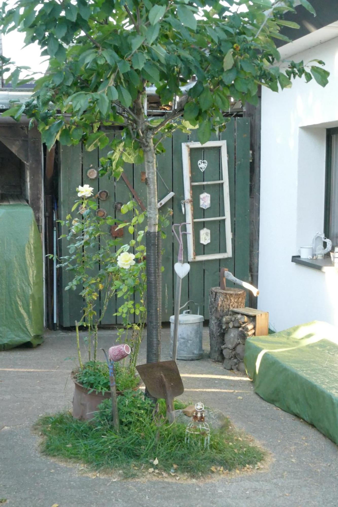 Ferienhaus Mit Minibauernhof Munster im Heidekreis Ngoại thất bức ảnh