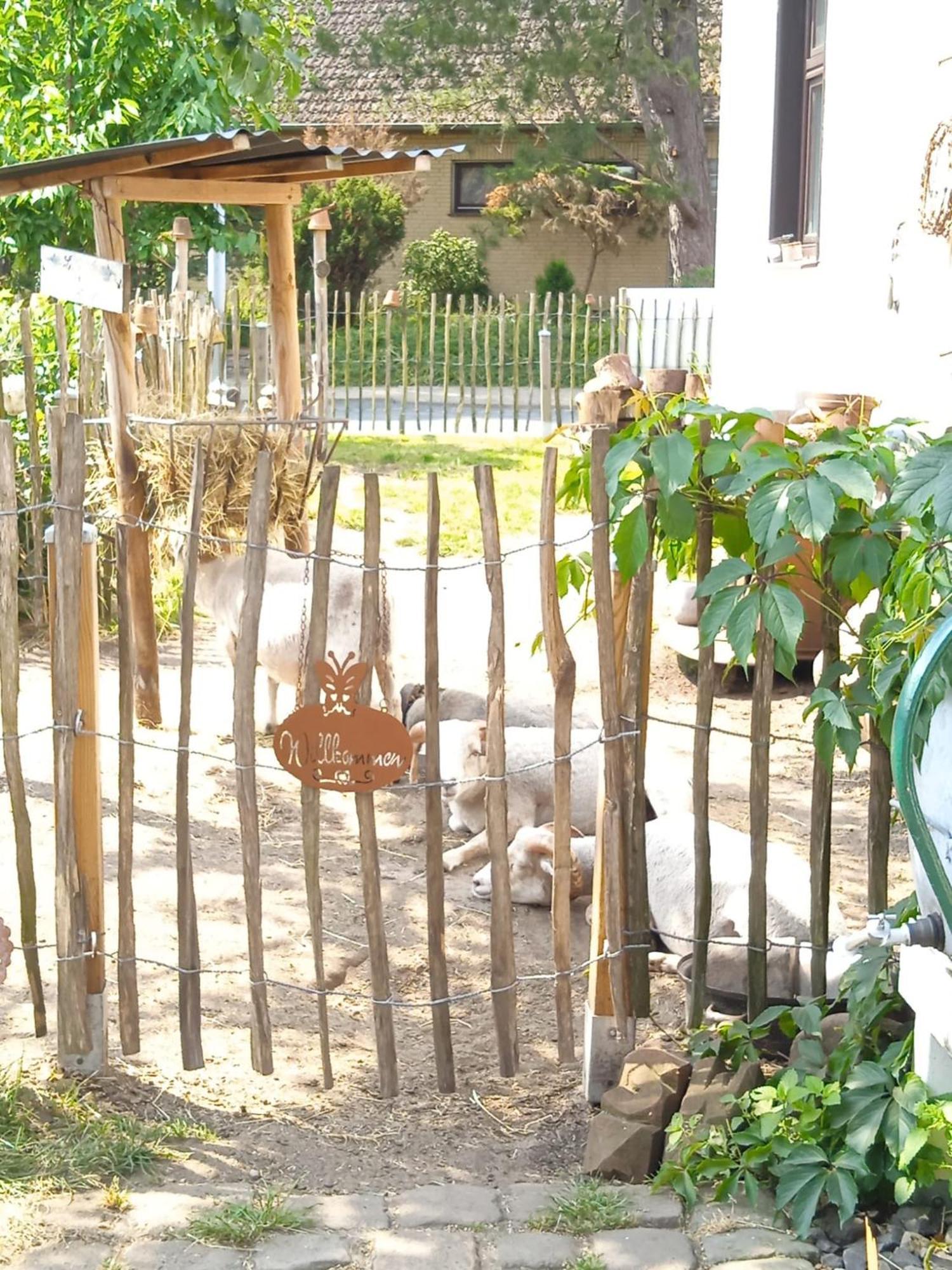 Ferienhaus Mit Minibauernhof Munster im Heidekreis Ngoại thất bức ảnh